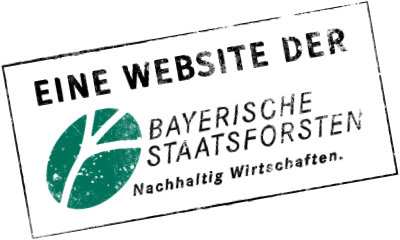 Eine Website der bayerischen Staatsforsten – Nachhaltig Wirtschaften.